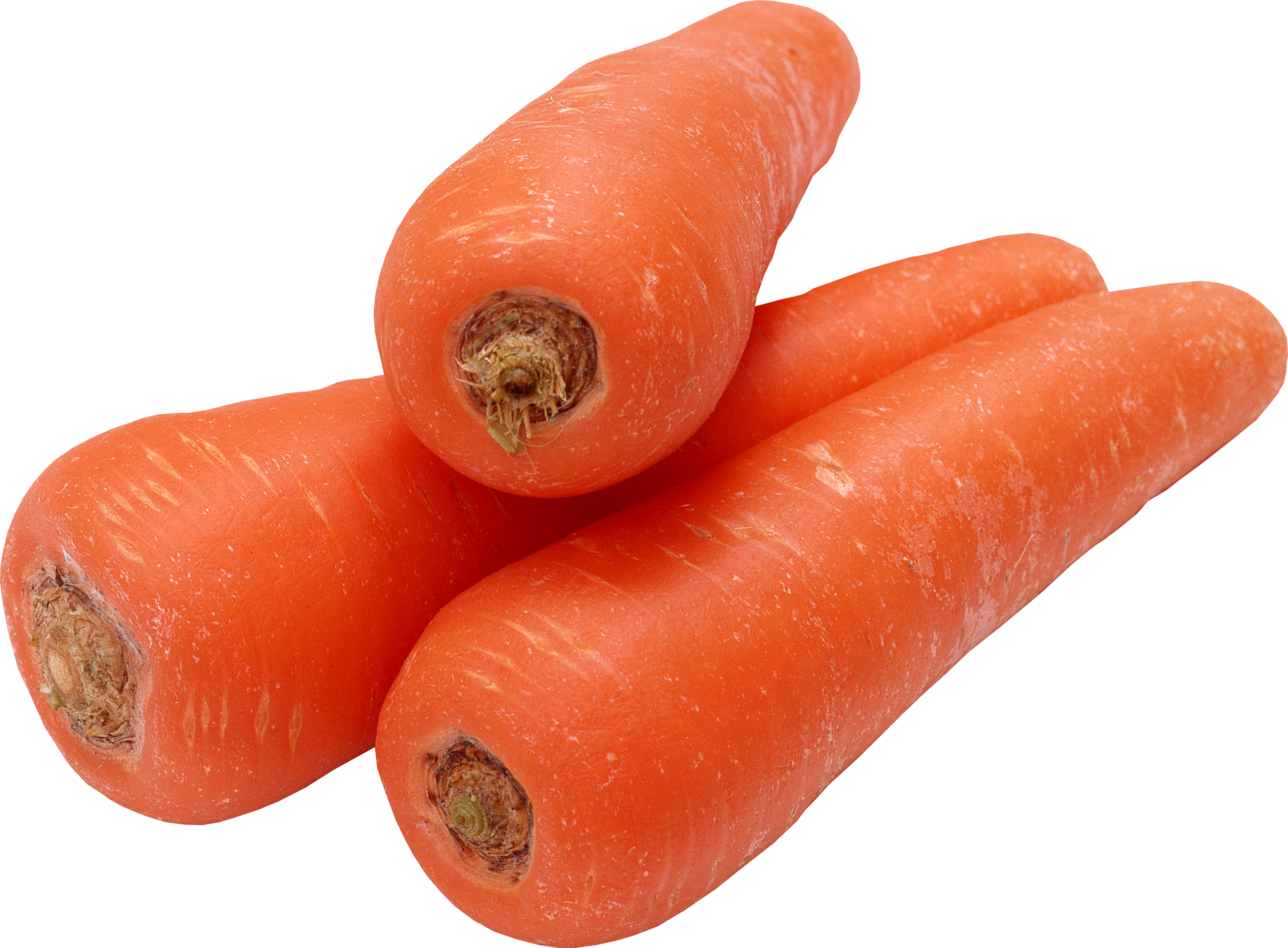 Fresh Carrots Isolated.png PNG