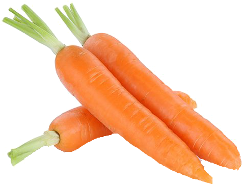 Fresh Carrots Isolated.png PNG