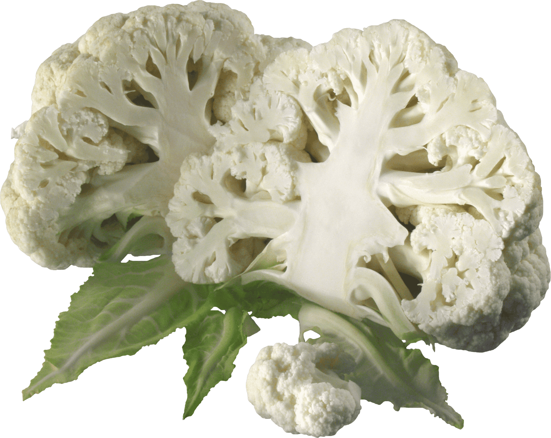Fresh Cauliflower Cross Section PNG