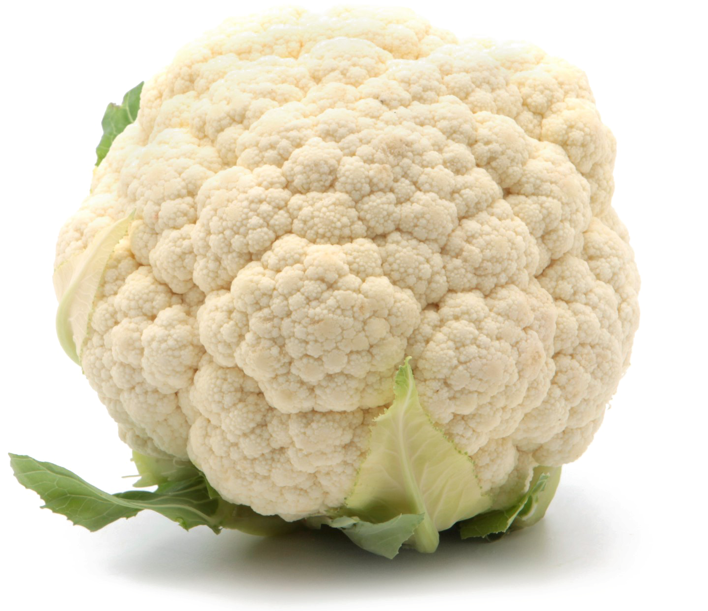 Fresh Cauliflower Isolated.png PNG