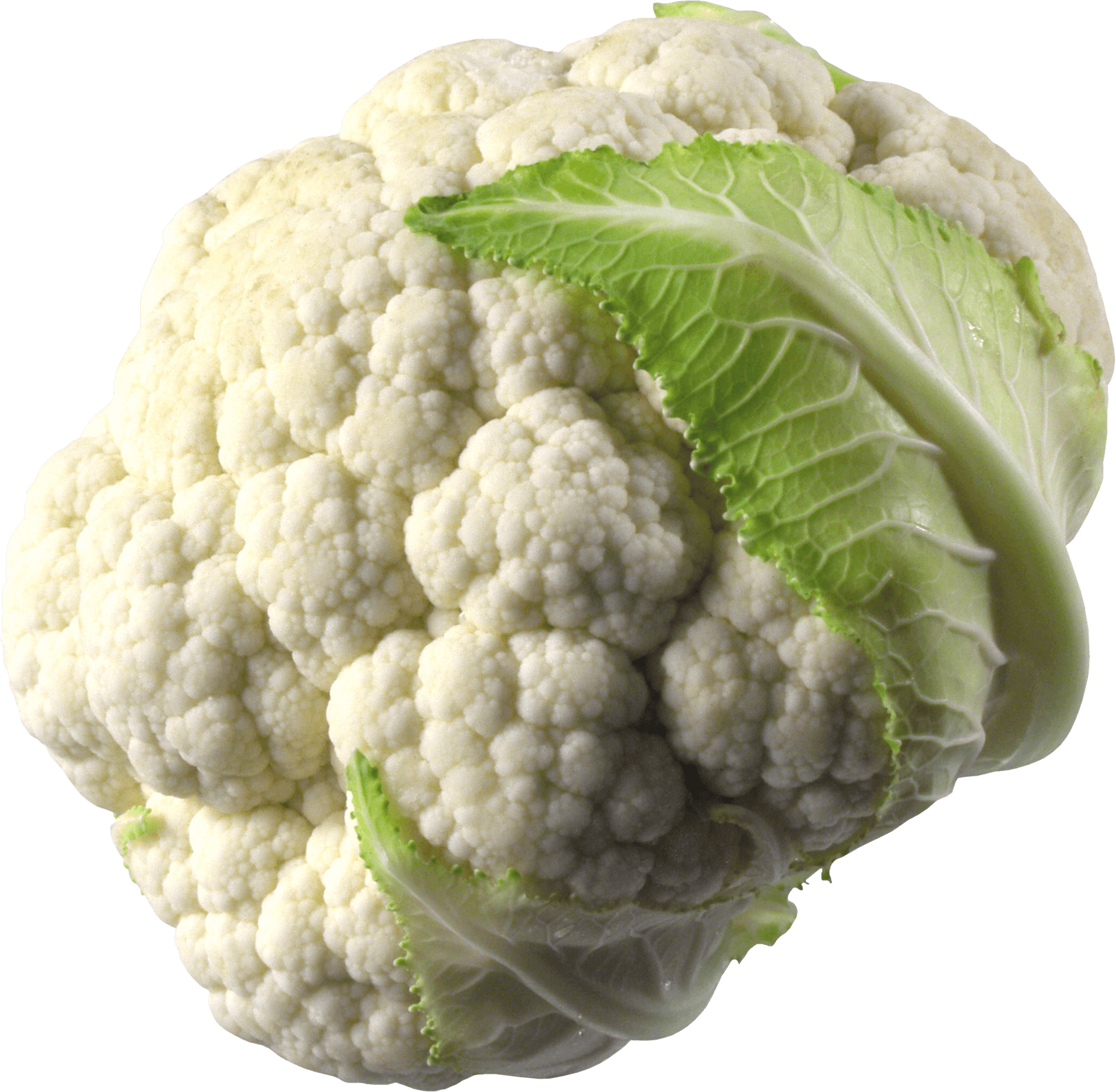 Fresh Cauliflower Isolated.png PNG