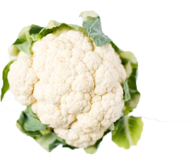 Fresh Cauliflower Isolated.png PNG