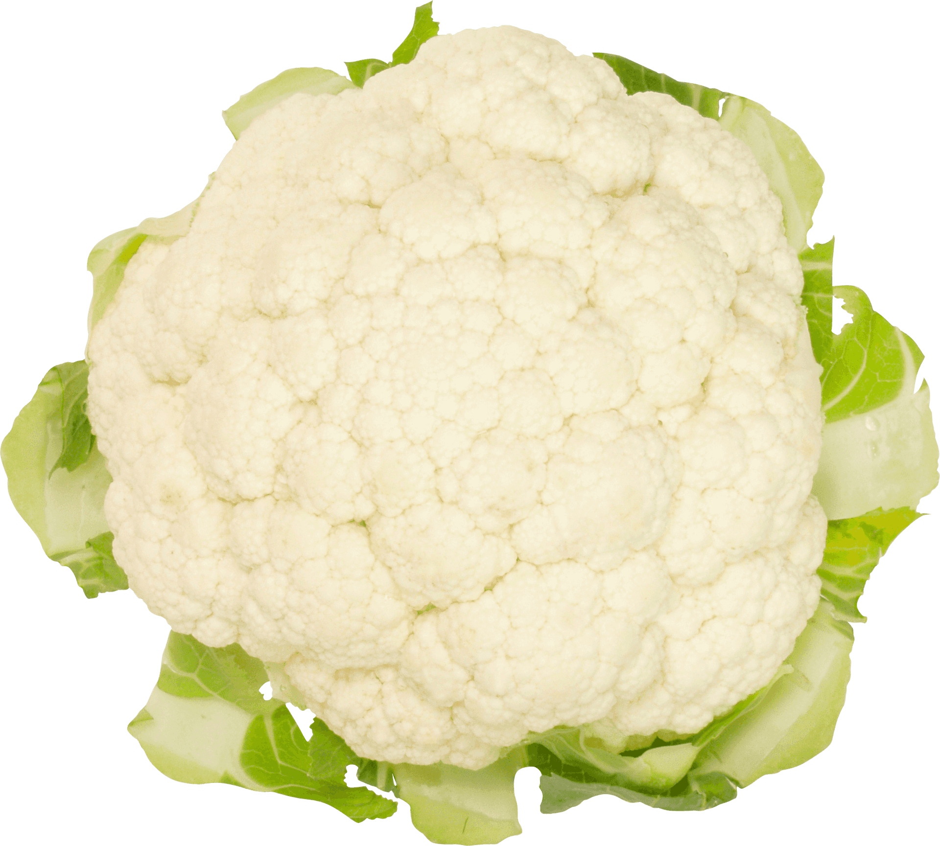 Fresh Cauliflower Isolated.png PNG