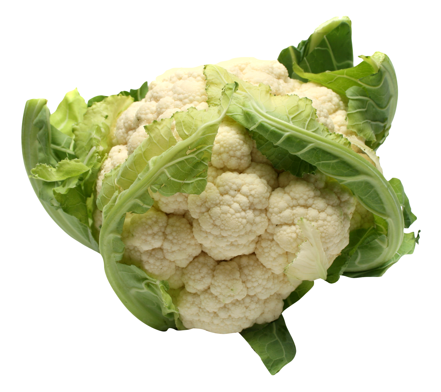 Fresh Cauliflower Isolated.png PNG