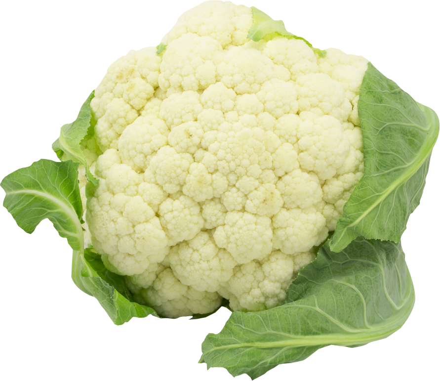 Fresh Cauliflower Isolatedon Grey PNG