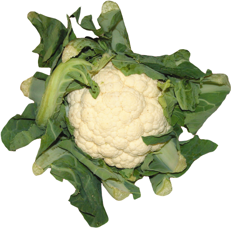 Fresh Cauliflowerwith Green Leaves.png PNG
