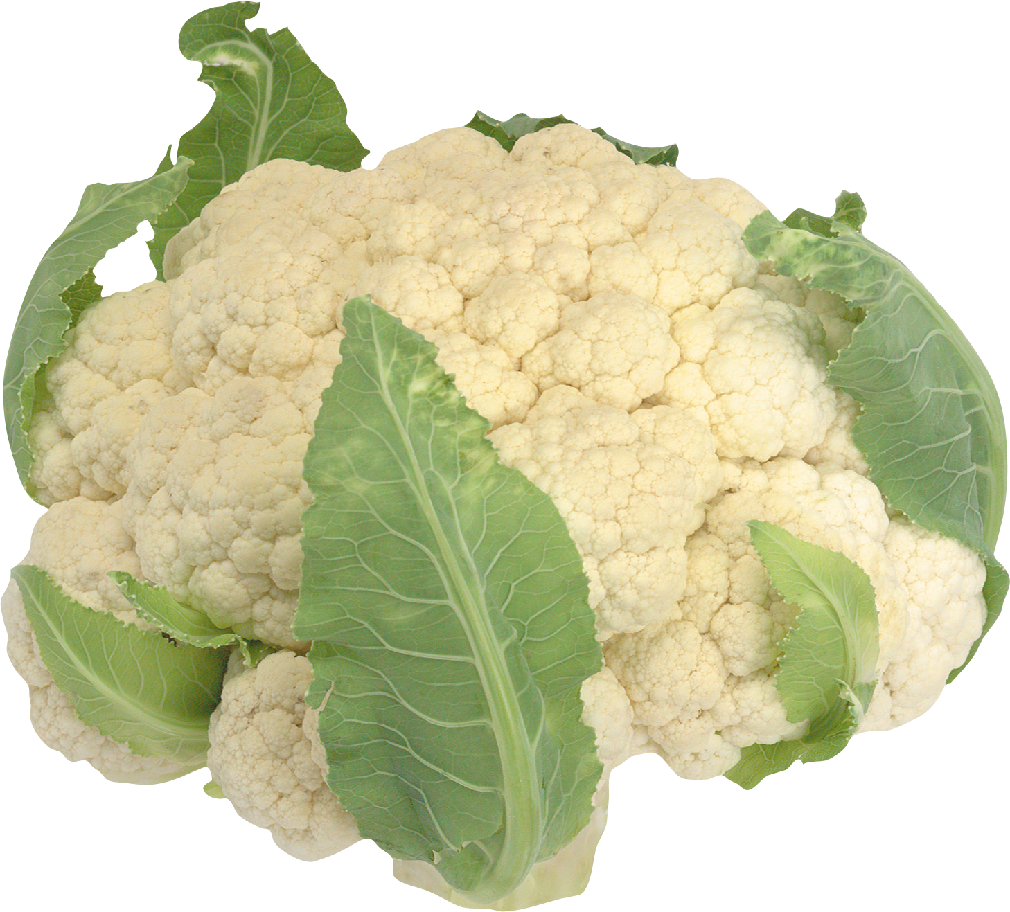 Fresh Cauliflowerwith Leaves.png PNG