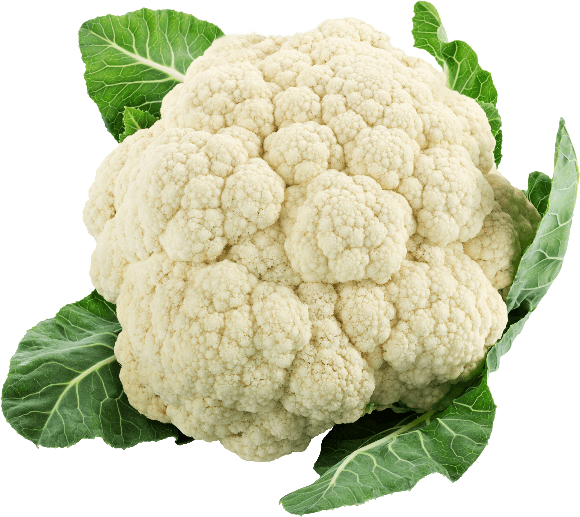 Fresh Cauliflowerwith Leaves.png PNG