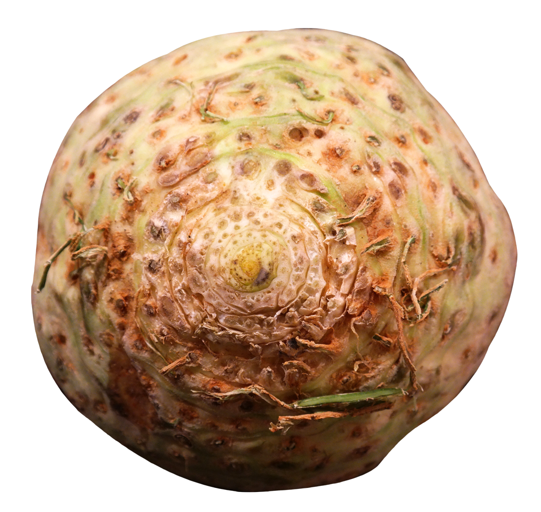 Fresh Celery Root Texture PNG