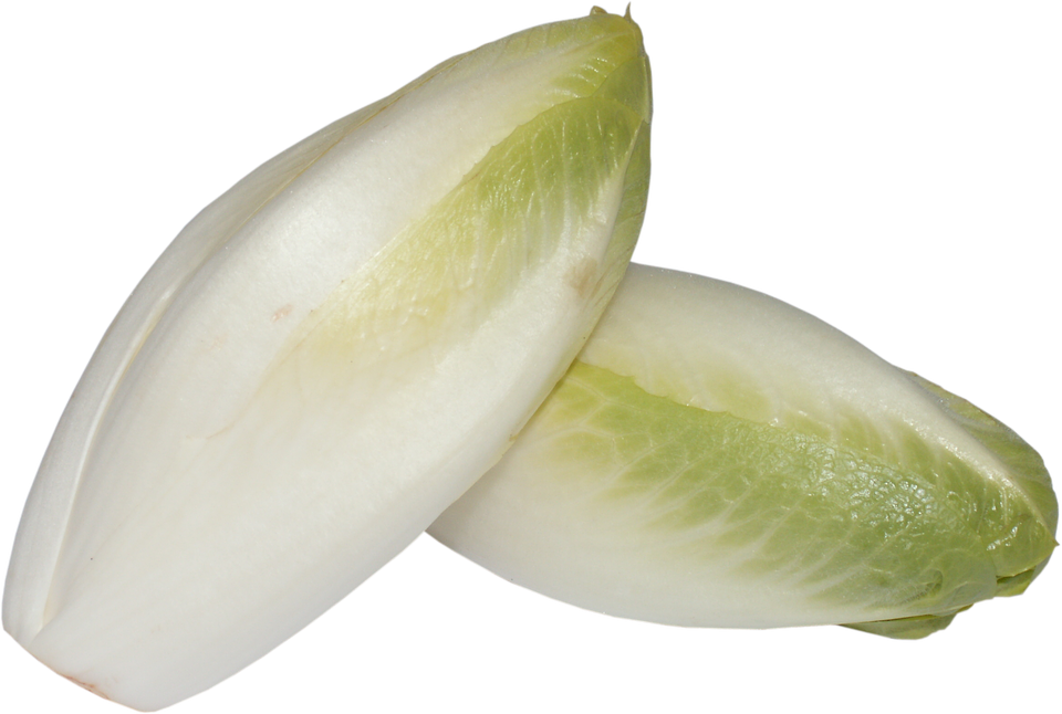 Fresh Chicory Endive Vegetable PNG