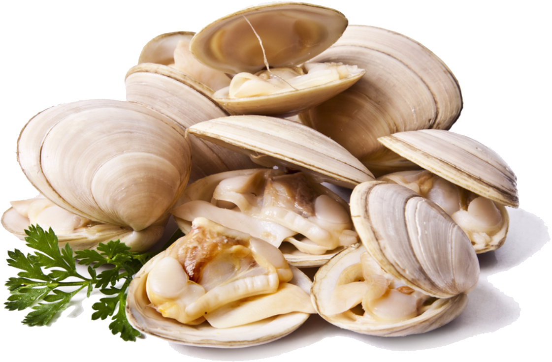 Download Fresh Clamswith Parsley.png | Wallpapers.com