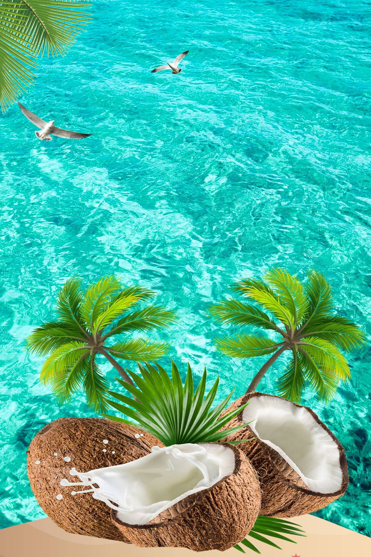 Fresh Coconut Fruits Wallpaper