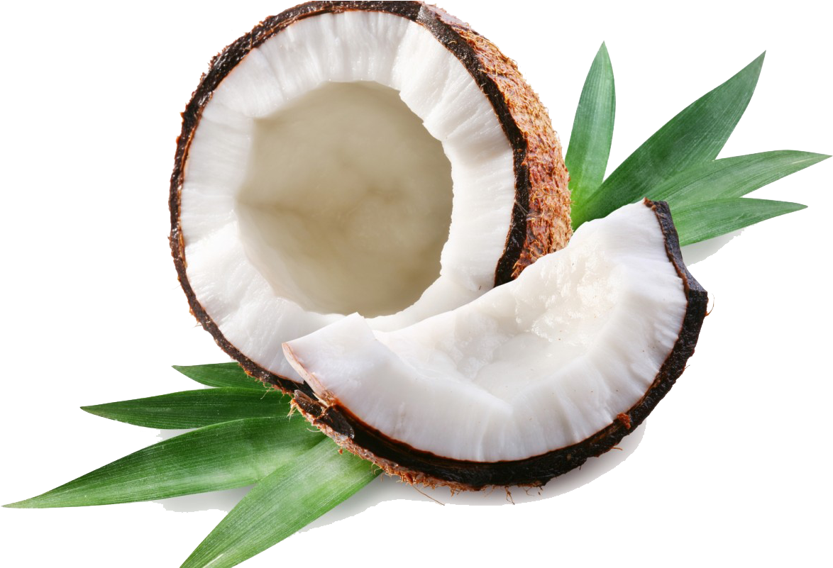 Fresh Coconut Halfwith Green Leaves PNG