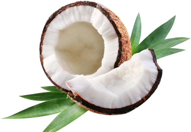 Fresh Coconut Halfwith Green Leaves PNG