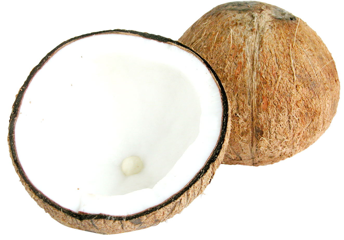 Download Fresh Coconut Halves | Wallpapers.com