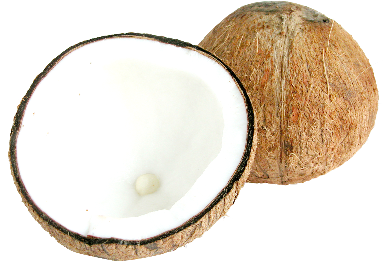 Fresh Coconut Halves PNG