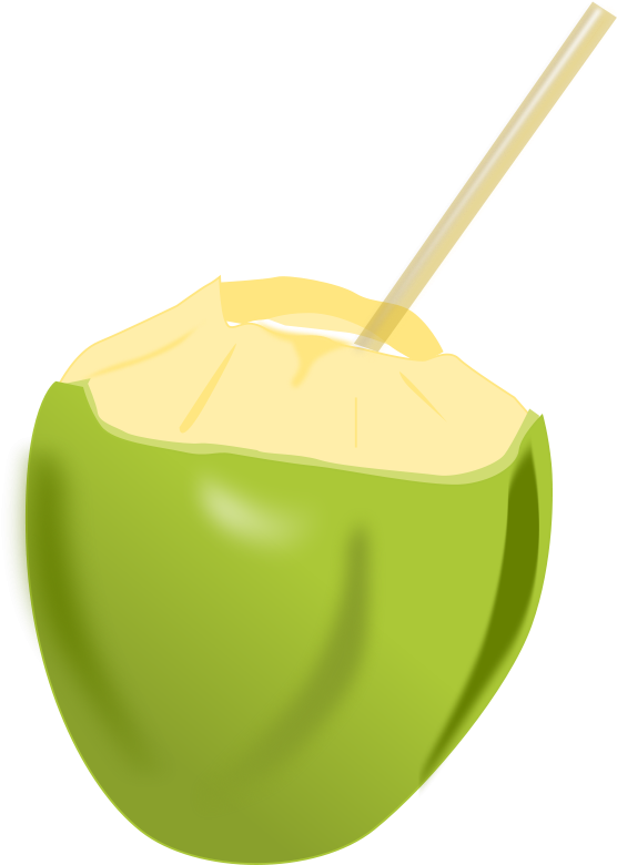 Fresh Coconut With Straw PNG
