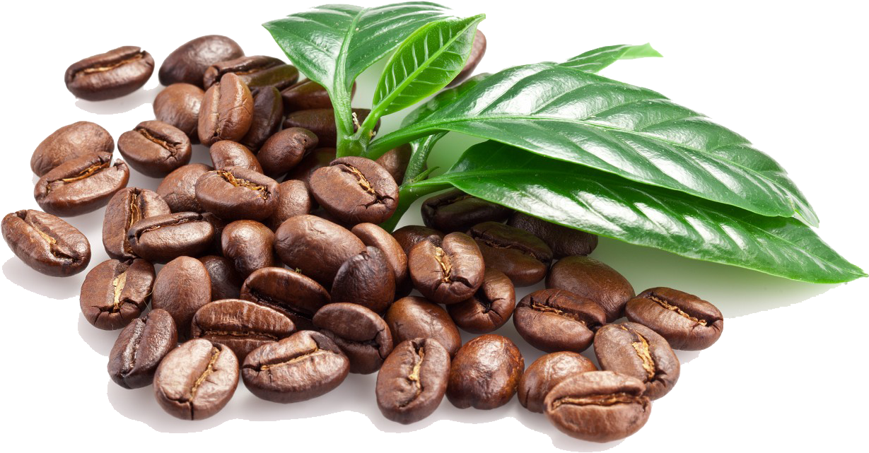 Fresh Coffee Beans With Leaves PNG