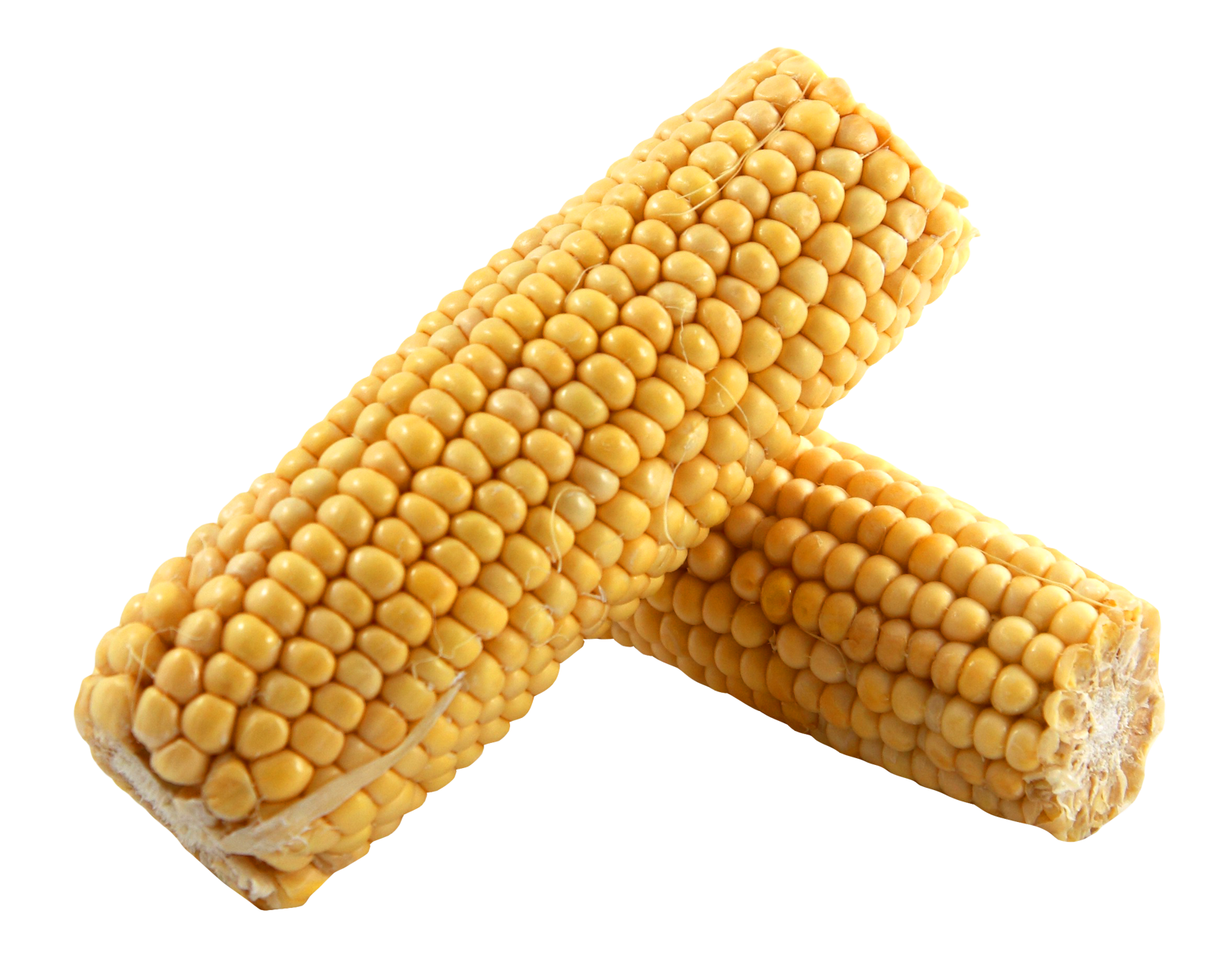 Fresh Corn Cobs Crossed PNG