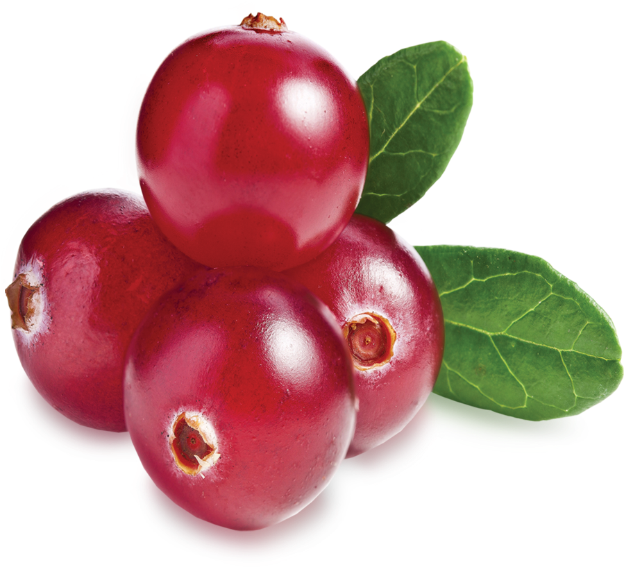 Fresh Cranberrieswith Leaf.png PNG