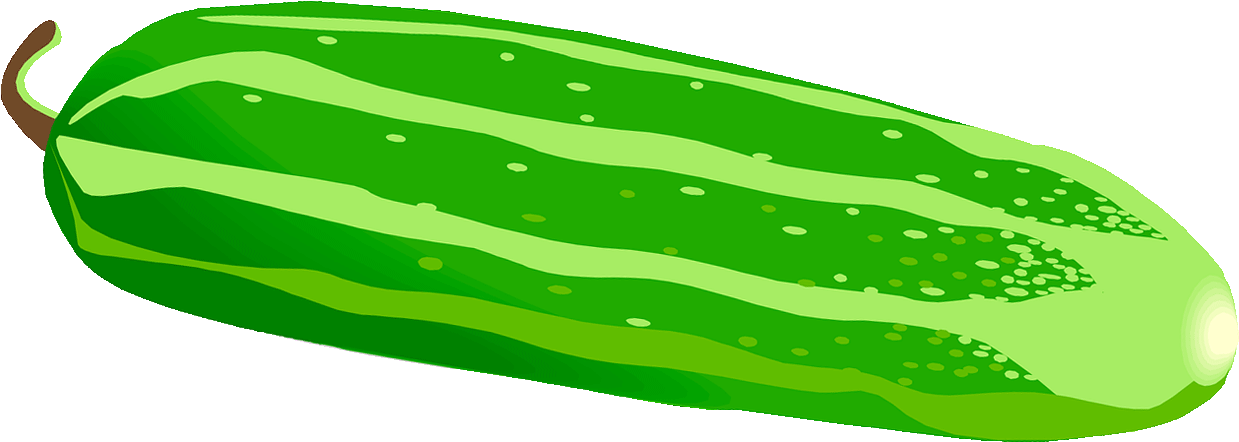 Fresh Cucumber Graphic PNG