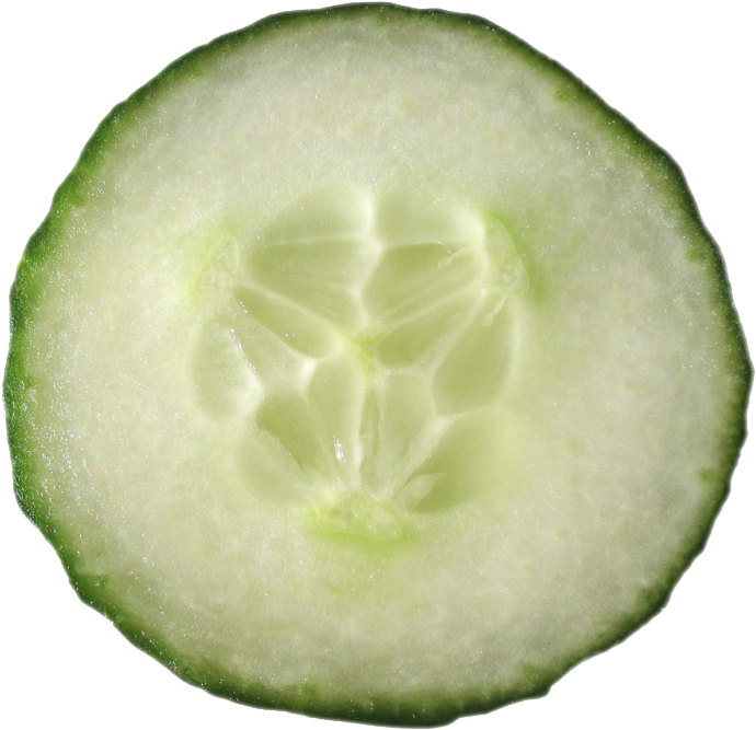 Fresh Cucumber Slice Macro PNG