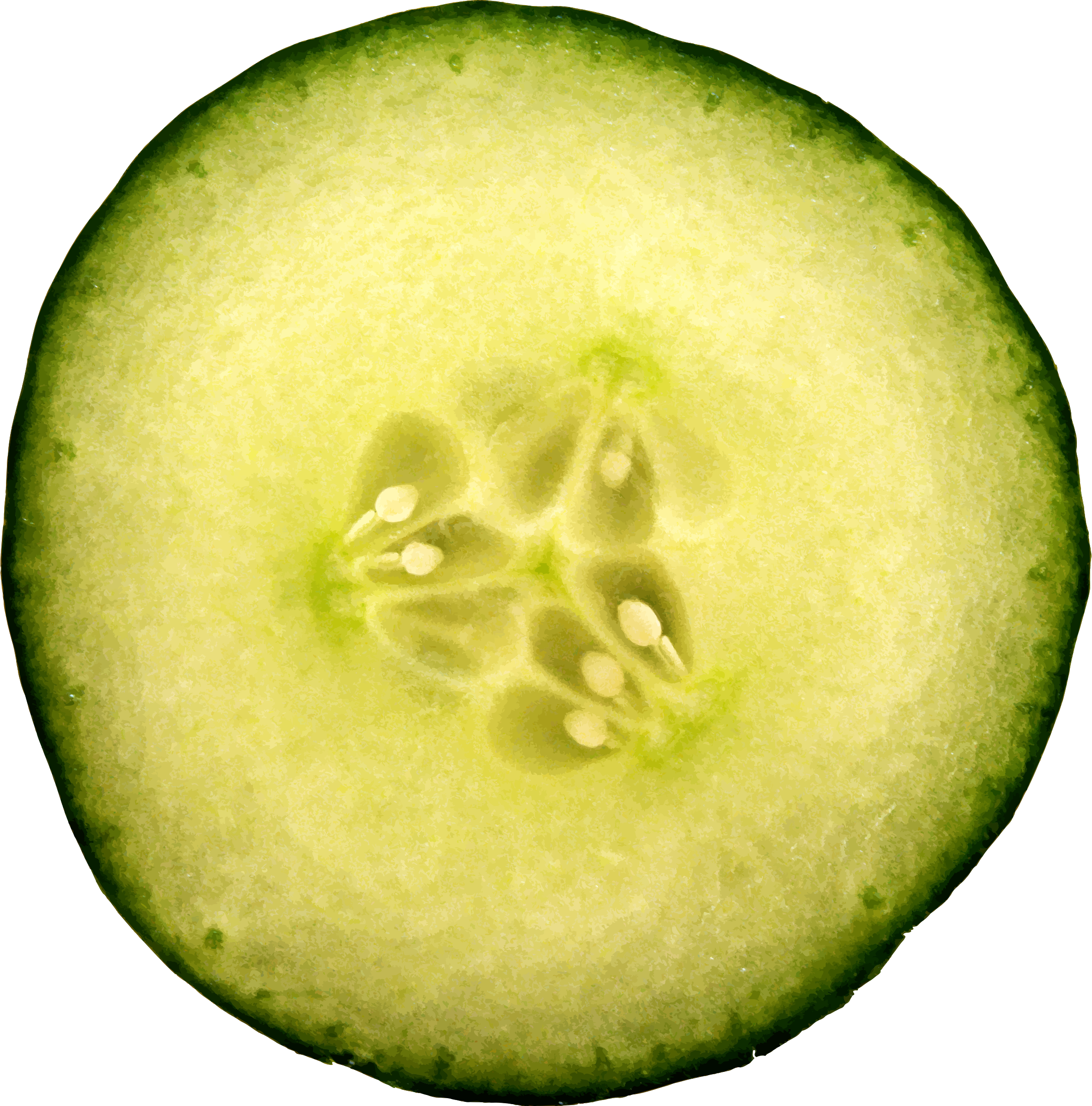 Fresh Cucumber Slice Macro PNG