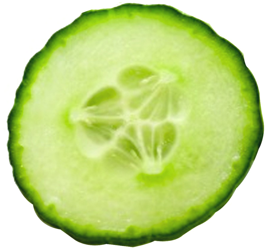 Fresh Cucumber Slice Transparent Background PNG