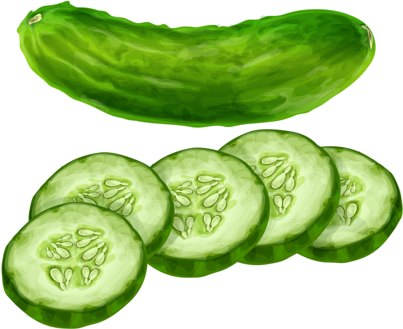 Fresh Cucumberand Slices Illustration PNG