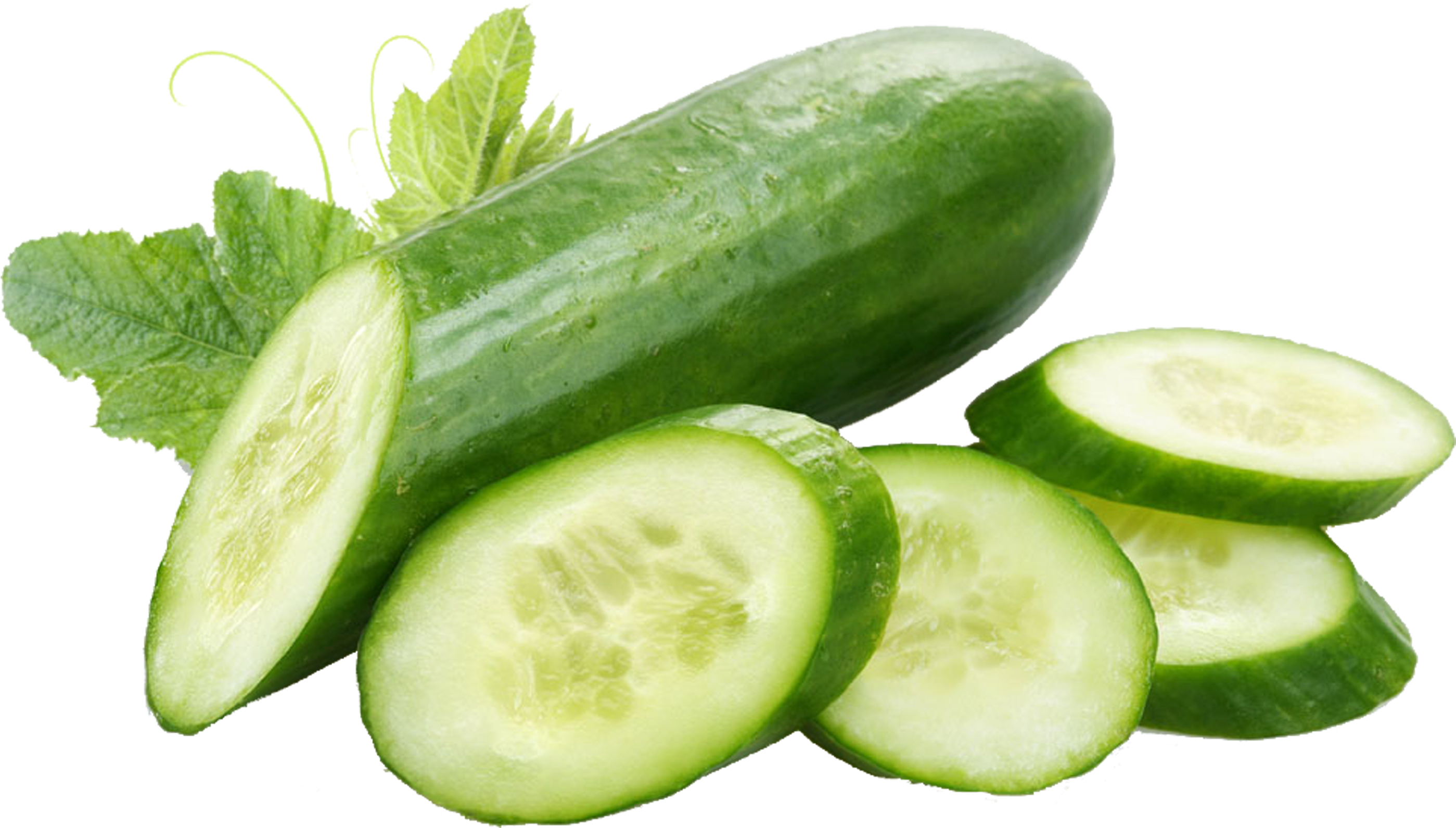 Fresh Cucumberand Slices.png PNG