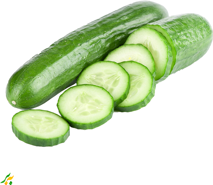 Fresh Cucumberand Slices.png PNG