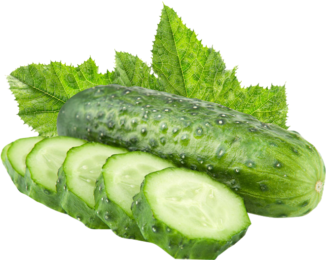 Fresh Cucumberand Sliceswith Leaves.png PNG