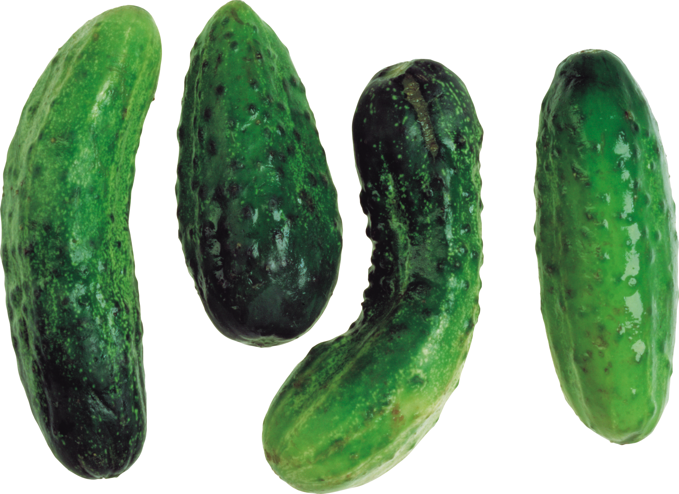 Fresh Cucumbers Isolated PNG