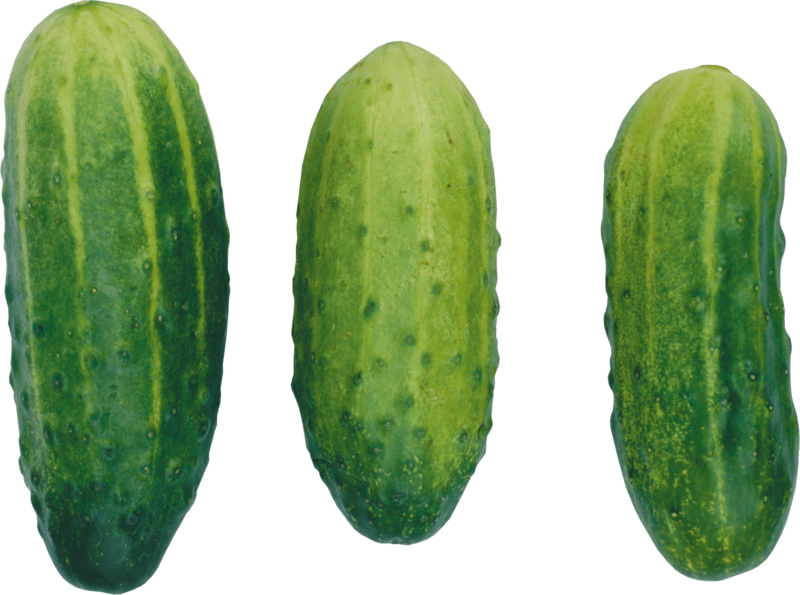 Fresh Cucumbers Isolatedon Transparent Background PNG