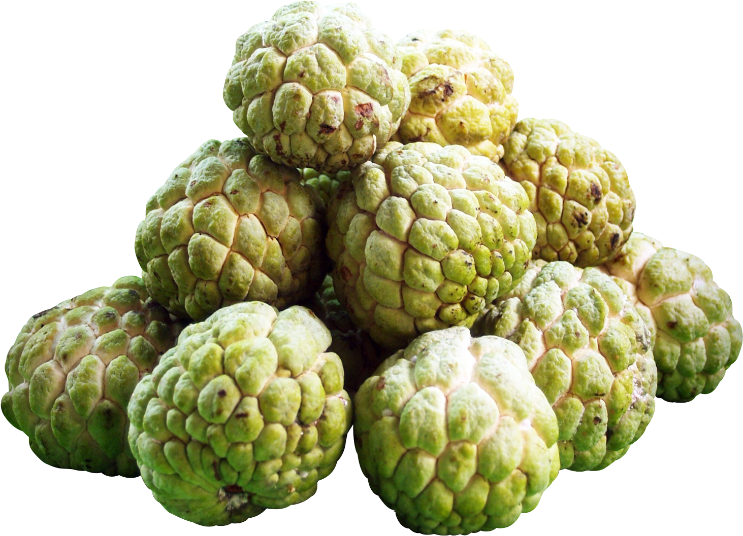Fresh Custard Apples Isolated Background PNG