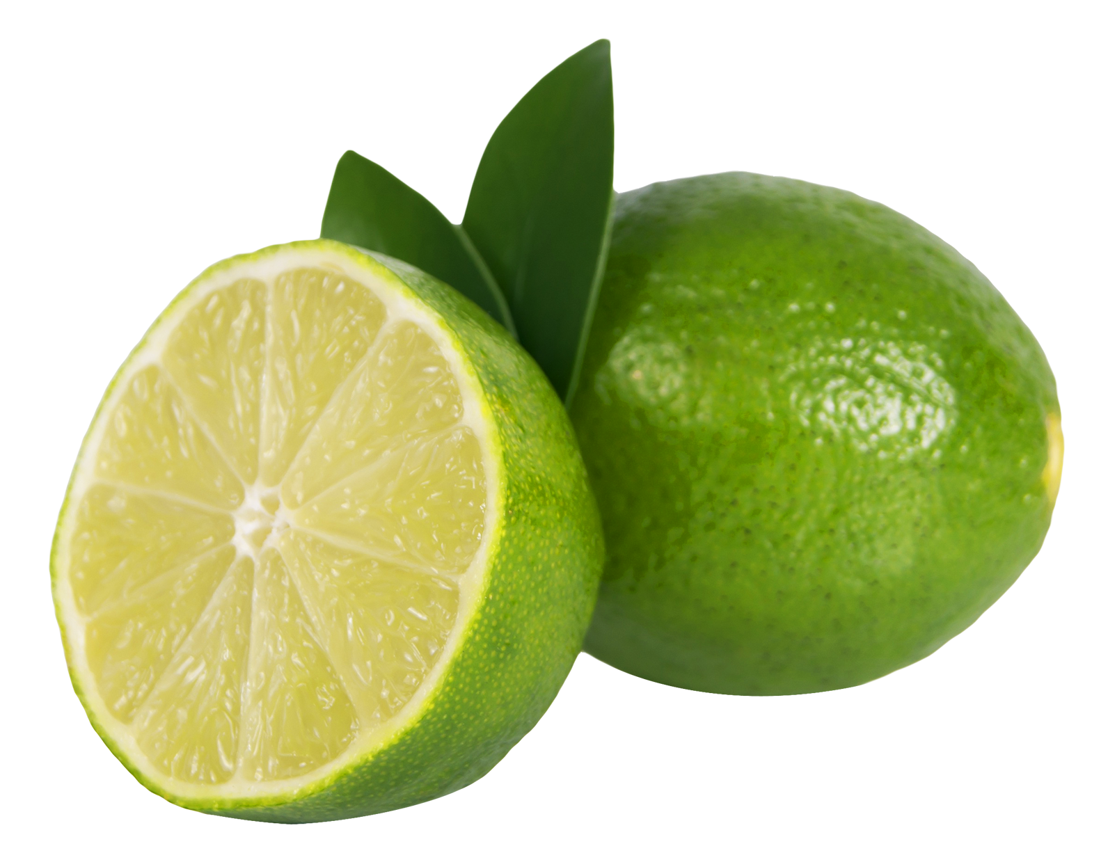 Fresh Cut Limewith Leaves PNG