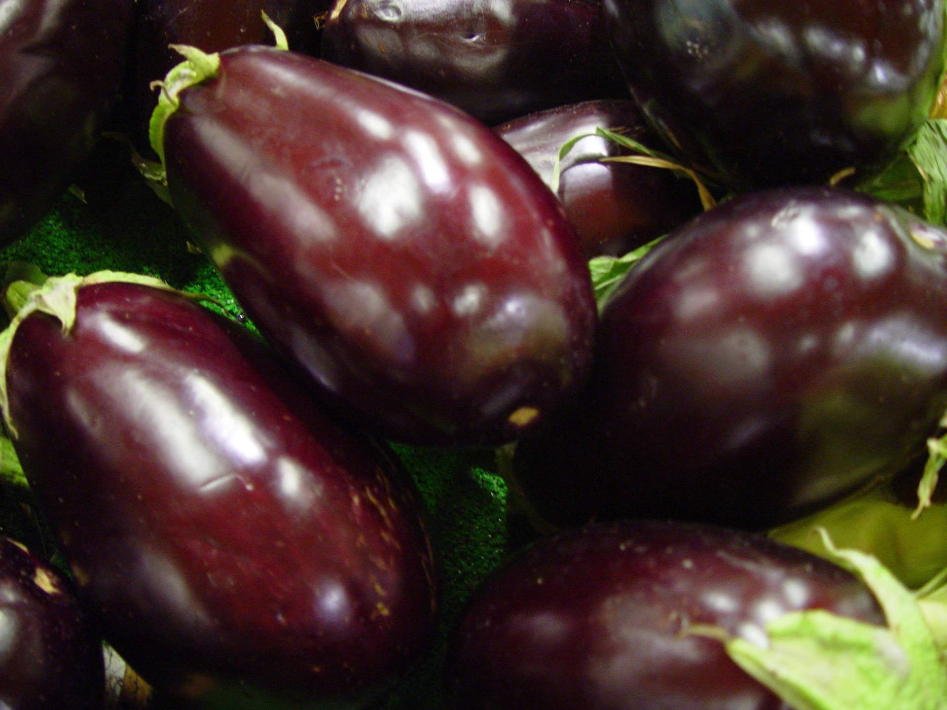 Fresh Nadia Eggplant in Dark Purple Wallpaper