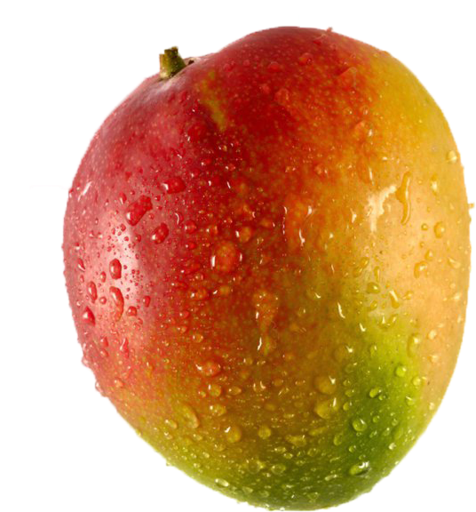 Fresh Dew Kissed Mango PNG