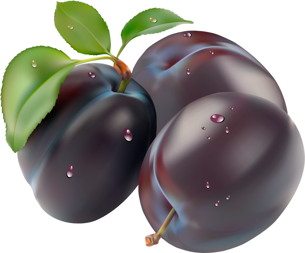 Fresh Dew Kissed Plums PNG