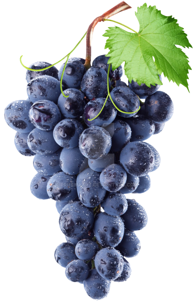 Fresh Dewy Black Grapes PNG