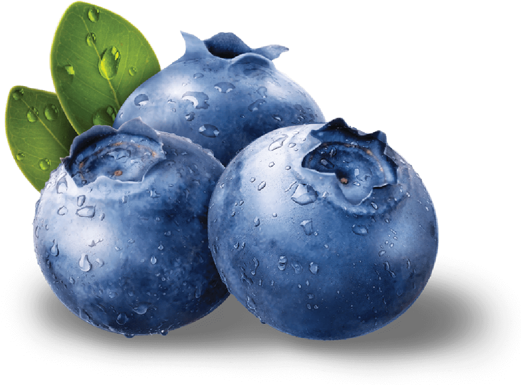 Fresh Dewy Blueberries PNG