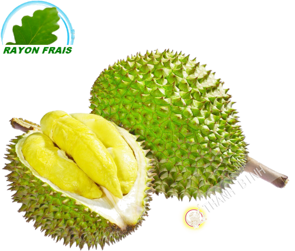 Fresh Durian Fruit Cut Open PNG