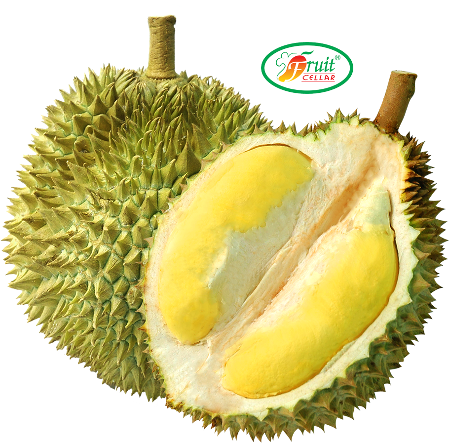 Fresh Durian Fruit Cut Open PNG