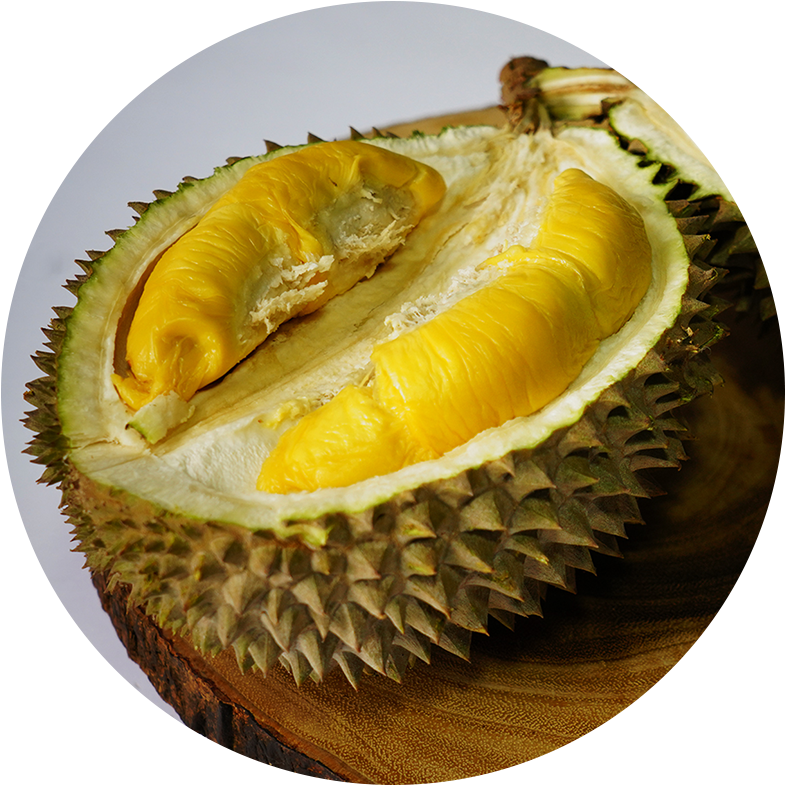 Fresh Durian Fruit Halved PNG