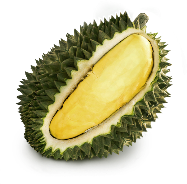 Fresh Durian Fruit Slice.png PNG