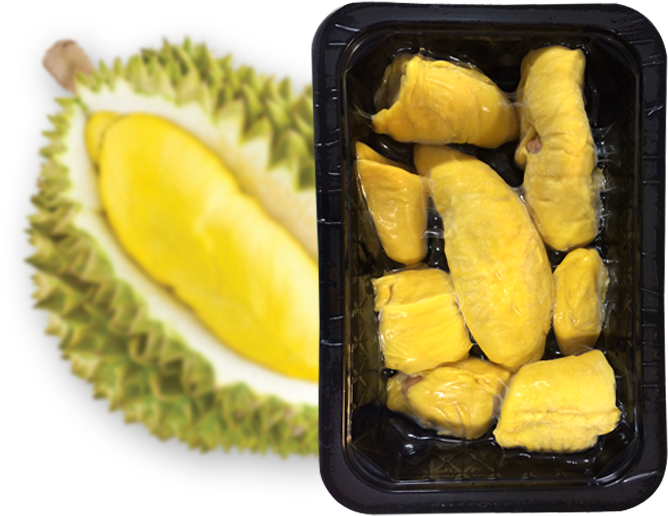 Fresh Durian Fruitand Packaged Pulp PNG