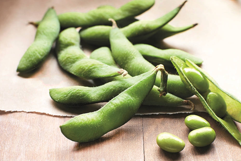 Freshly harvested Edamame in pods - a picture of health. Wallpaper