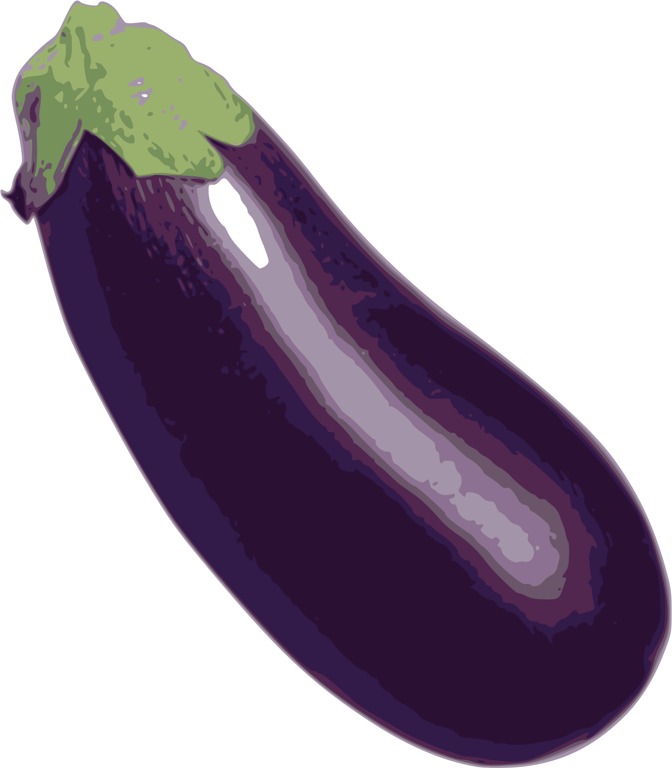 Fresh Eggplant Illustration PNG