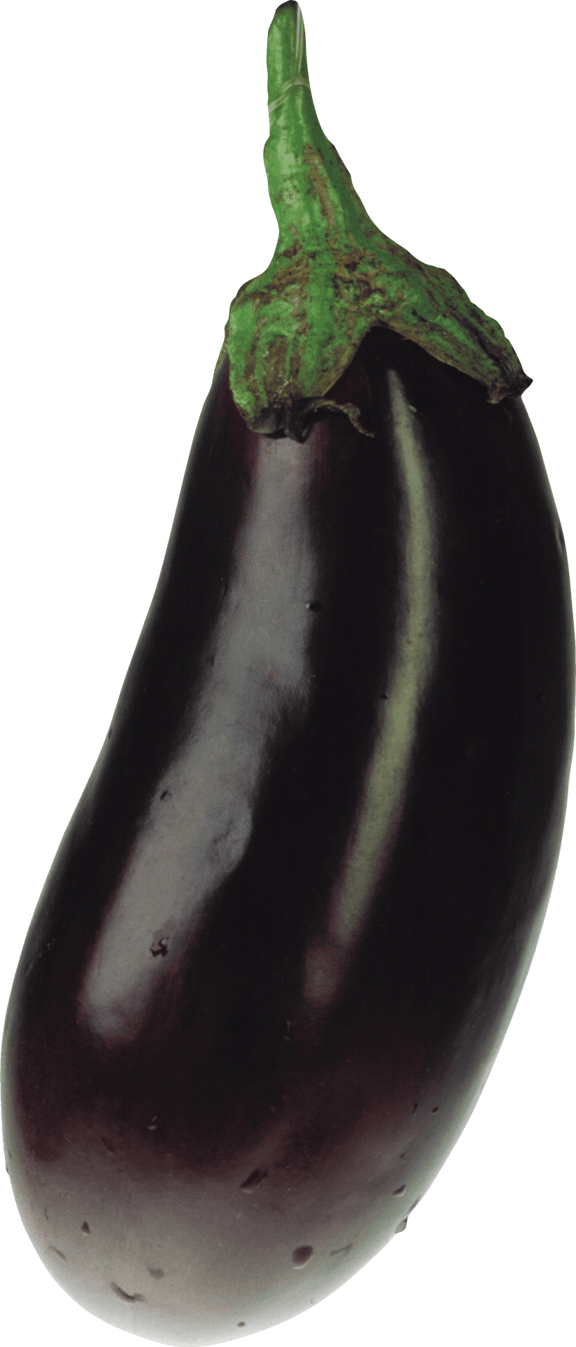 Fresh Eggplant Single Isolated PNG