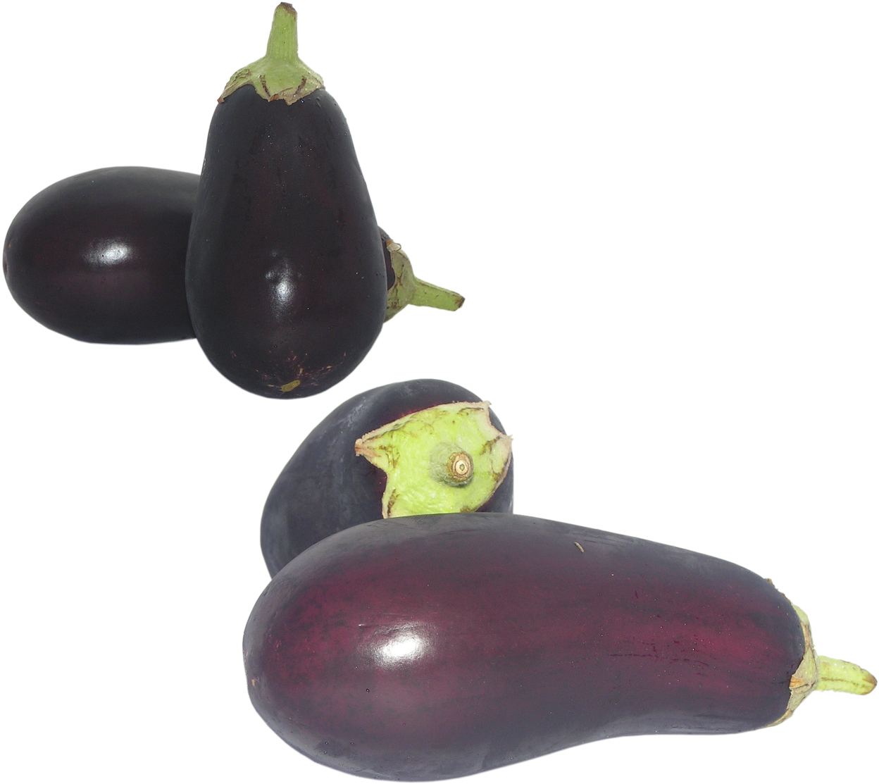 Fresh Eggplants Variety PNG